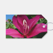 オーキッドツリーブロッサムトロピカルフローラ ギフトタグ (正面(横))