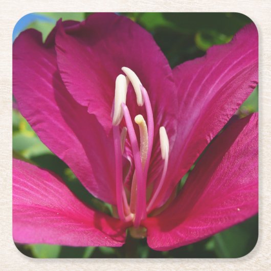 オーキッドツリーブロッサムトロピカルフローラ スクエアペーパーコースター (正面)