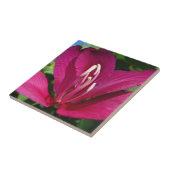 オーキッドツリーブロッサムトロピカルフローラ タイル (側面)