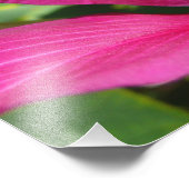 オーキッドツリーブロッサムトロピカルフローラ フォトプリント (角)