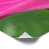 オーキッドツリーブロッサムトロピカルフローラ ポスター (コーナー)