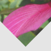 オーキッドツリーブロッサムトロピカルフローラ 薄葉紙 (詳細)