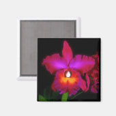 オーキッドドリーム磁石 マグネット (正面/裏面)