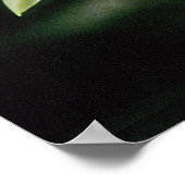 オーキッドバラタホマ氷河 ポスター (角)