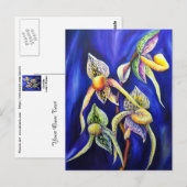 オーキッドパピオペディラムレディーズスリッパ ポストカード (正面/裏面)