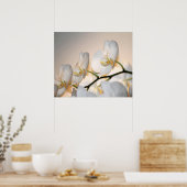 オーキッドファレソゴアートプリント-24x20以下 ポスター (キッチン)