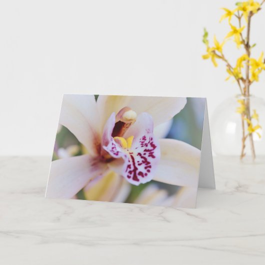 オーキッドフラワークローズアップアートノートカード カード (黄色い花)