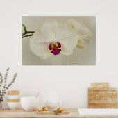 オーキッドフラワーズクローズアップアート ポスター (キッチン)