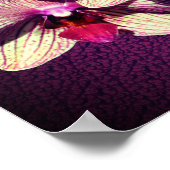 オーキッドフラワートリオアプライズ文字 ポスター (角)