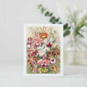 オーキッドフラワーフローラ植物性ヴィンテージはがき ポストカード (スタンド正面)