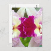 オーキッドフラワー ポストカード (正面/裏面)