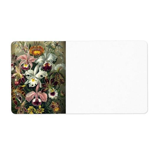 オーキッドボタニカルプリント ラベル (正面)