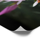 オーキッドポスター ポスター (角)