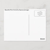 オーキッドポストカード ポストカード (裏面)