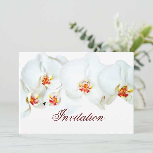 オーキッドラブ_ 招待状 (スタンド正面)