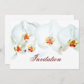 オーキッドラブ_ 招待状 (正面/裏面)