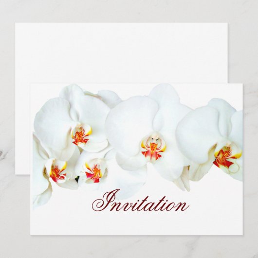 オーキッドラブ_ 招待状 (正面/裏面)