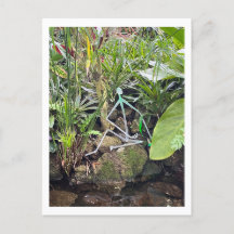 オーキッドルームスティックフィギュア1 | Phipps Conservatory