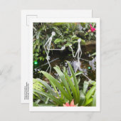 オーキッドルームスティックフィギュア2 | Phipps Conservatory ポストカード (正面/裏面)