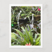 オーキッドルームスティックフィギュア2 | Phipps Conservatory ポストカード (正面)