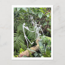 オーキッドルームスティックフィギュア3 | Phipps Conservatory