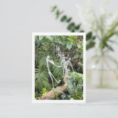 オーキッドルームスティックフィギュア3 | Phipps Conservatory ポストカード (スタンド正面)