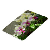 オーキッド可撓性光磁石 マグネット (左側)