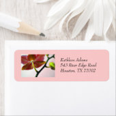 オーキッド差出人住所ラベル ラベル (インサイチュ)