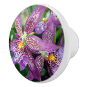 オーキッド引き出しプル セラミックノブ (右)