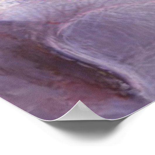 オーキッド春 ポスター (角)