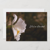 オーキッド結婚式招待状 招待状 (正面)