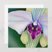 オーキッド美しい シーズンカード (正面/裏面)