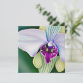 オーキッド美しい シーズンカード (スタンド正面)