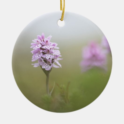 オーキッド自然写真 セラミックオーナメント (正面)