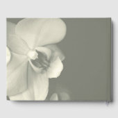 オーキッド花の写真カキ葬式ゲストブック ゲストブック (裏面)