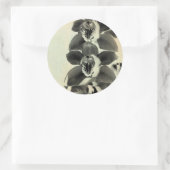 オーキッド赤面パネルIV ラウンドシール (バッグ)