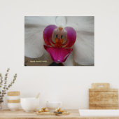 オーキッド顔 ポスター (キッチン)