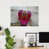 オーキッド顔 ポスター (ホームオフィス)