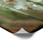 オーキッド8 x 8オリジナル自然TTV写真 ポスター (角)