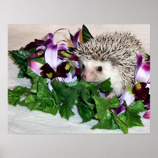 オーキッド・ザ・ヘッジホッグ ポスター (正面)