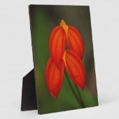 オーキッド フォトプラーク (側面)