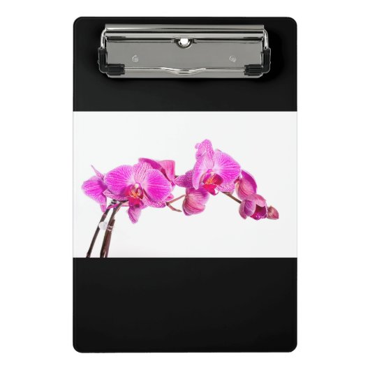 オーキッド ミニクリップボード (正面)