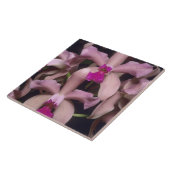 オーキッド(Cattleya amethystoglossa)、東部 タイル (側面)