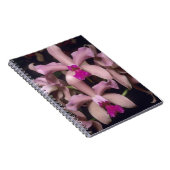 オーキッド(Cattleya amethystoglossa)、東部 ノートブック (右側)