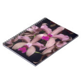 オーキッド(Cattleya amethystoglossa)、東部 ノートブック (左側)