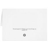 オーキッドAny Dayカード (裏面横)