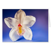オーキッドAny Dayカード (正面横)