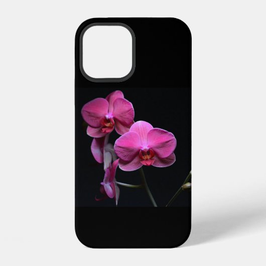 オーキッドiPhone 12 / iPadケース iPhoneケース (裏面)