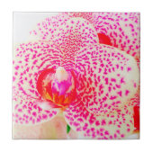 オーキッモダンクピンクの花 タイル (正面)