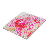 オーキッモダンクピンクの花 タイル (側面)